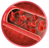 blood cell icon
